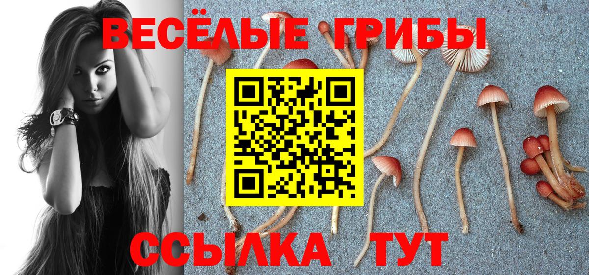 Псилоцибиновые грибы прущие грибы Шелехов